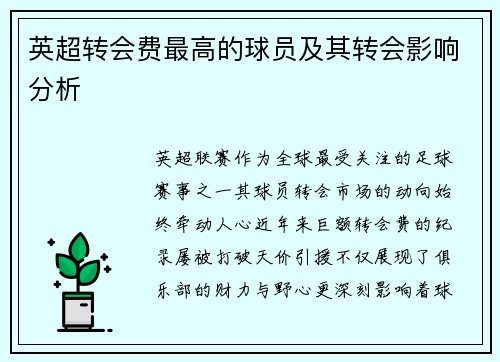 英超转会费最高的球员及其转会影响分析