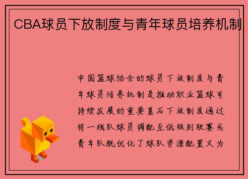 CBA球员下放制度与青年球员培养机制