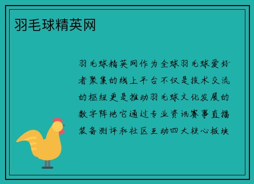 羽毛球精英网